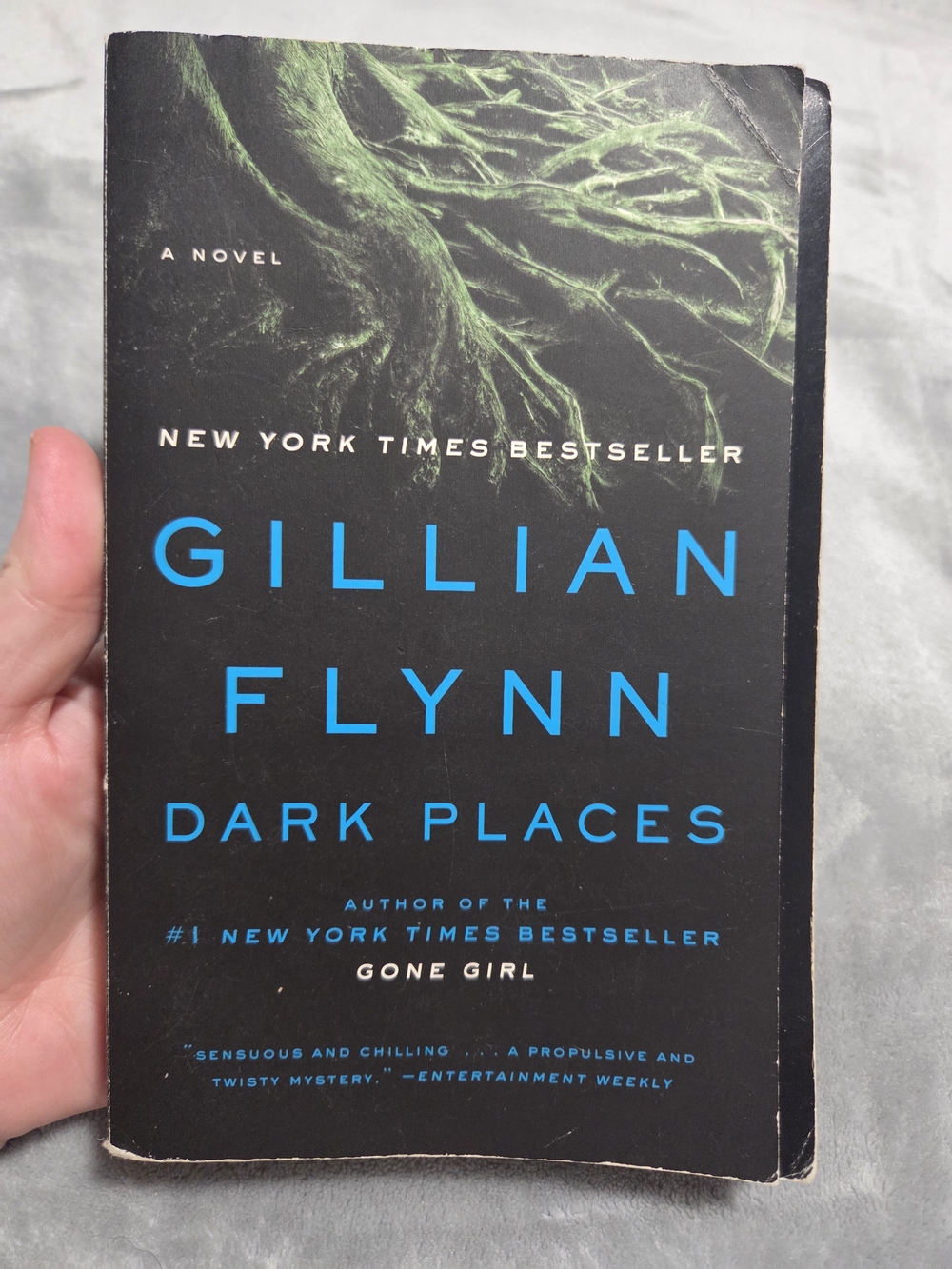 📚3/$9 Books📚 Gillian Flynn Dark Places Paperback Book
